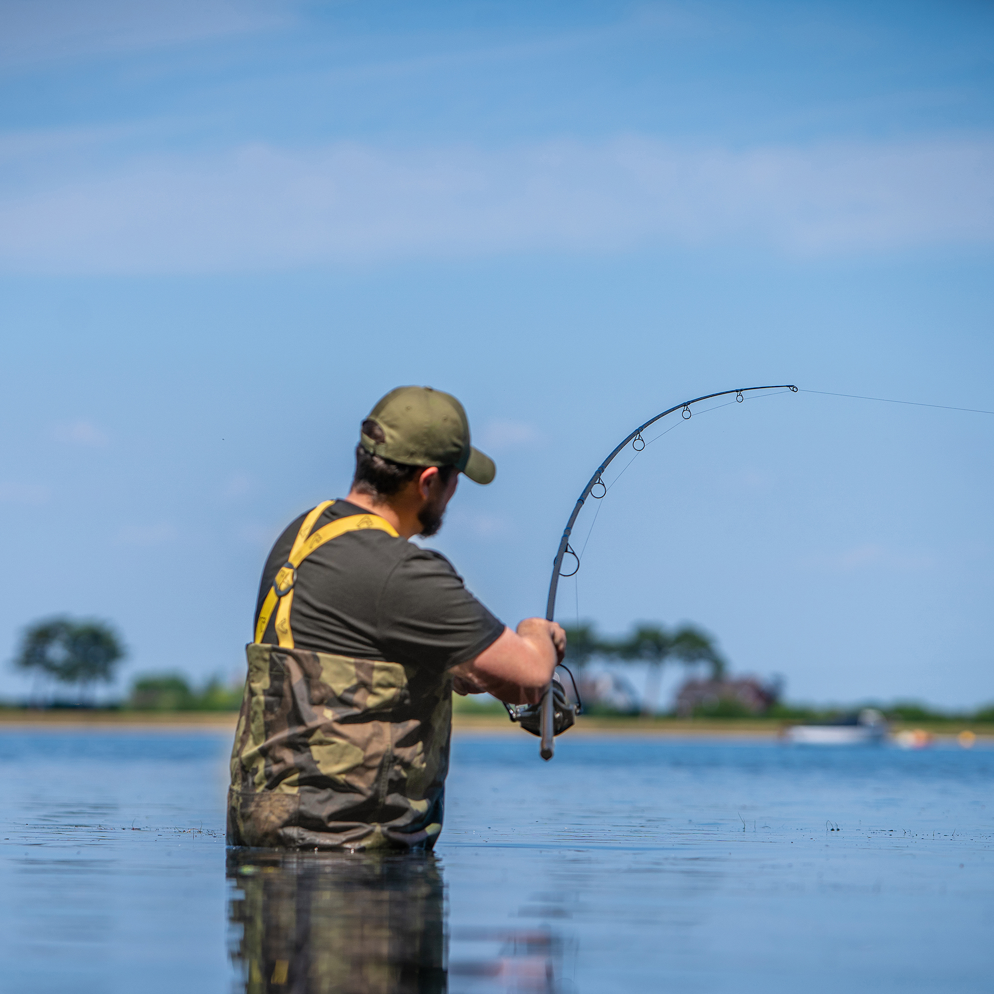 Revolve Rods | Avid Carp
