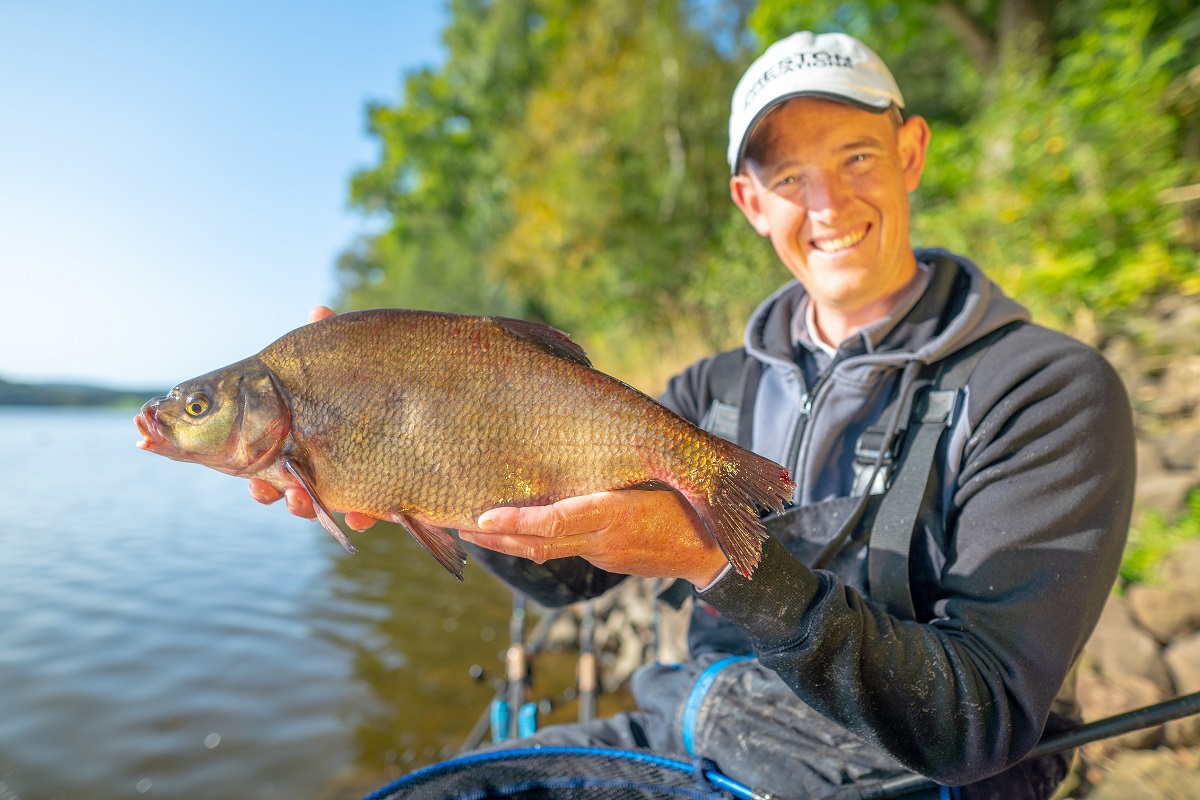 Hiring Social Media Coordinator Avid Carp